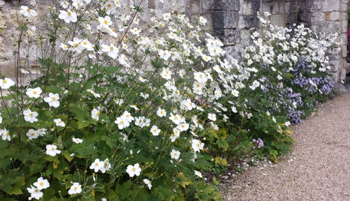 Les jardins du Prieuré Saint Macé