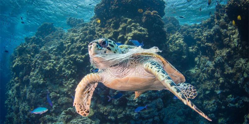 Trente pays unissent leurs forces contre les déchets plastiques en mer