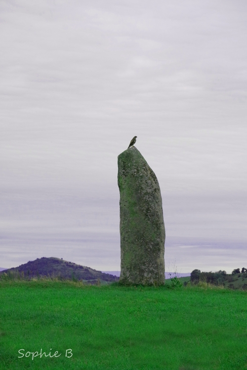 Vocation inattendue pour un dolmen .