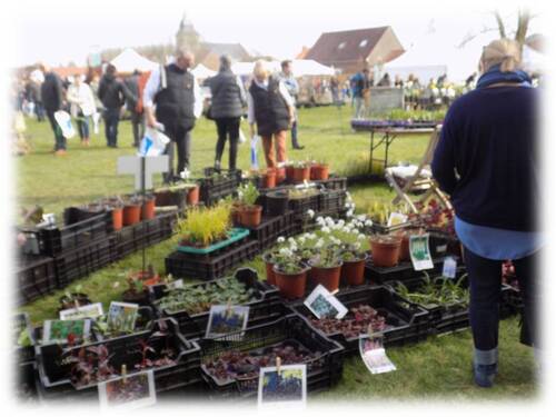 Fête des plantes de Locon