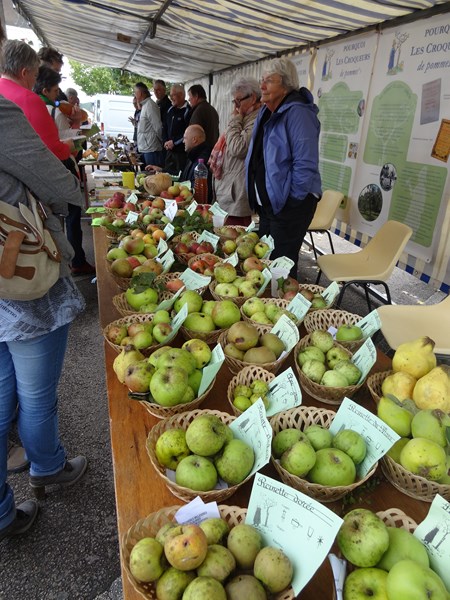 La fête de la pomme 2013 a eu lieu à Laignes !