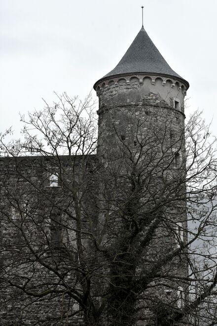 2019.02.02 Château de Bon Repos (commune de Jarrie, Isère)