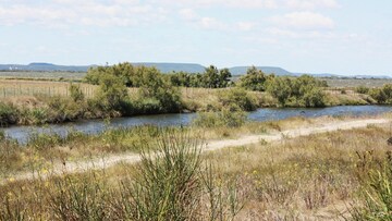 Site naturel protégé du Bolmon