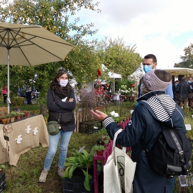 Journées des Plantes et Art du Jardin de Jossigny : retour sur l'édition 2020...