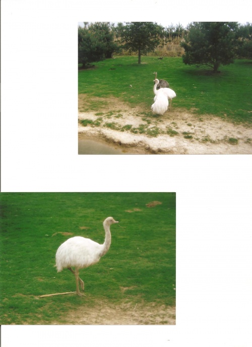 LE PARC AUX OISEAUX DES DOMBES