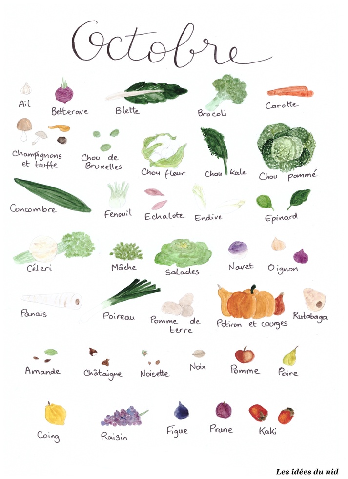 Fruits et légumes d'Octobre