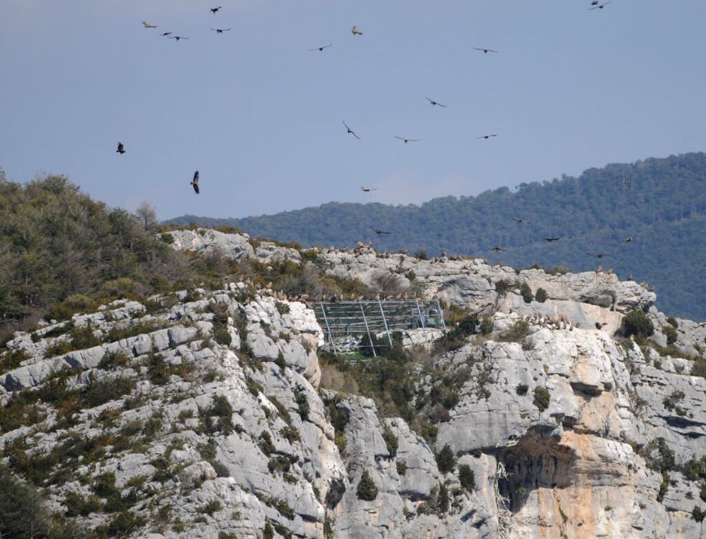 La montagne des vautours (2) suite