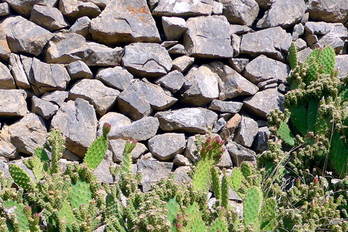 Un vieux mur en pierre