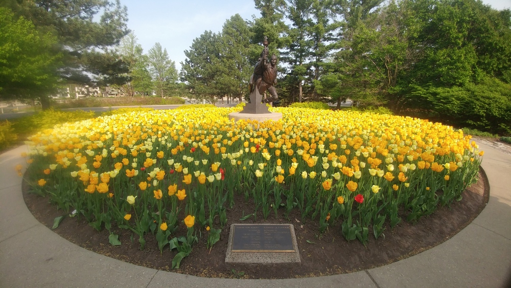 Ottawa Tulip Festival on May 15th 2023