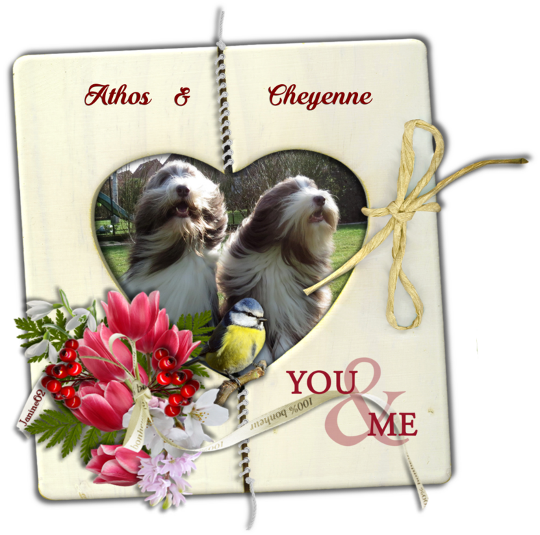 ♥Bonne semaine d' Athos & Cheyenne♥