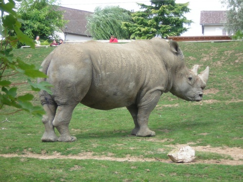 PARC ZOOLOGIQUE DE BEAUVAL EN SOLOGNE