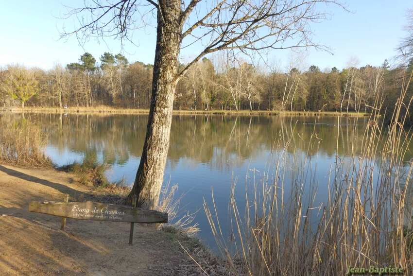 Etang de Mont sur Guesnes,Vienne,