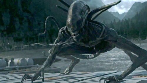 Alien : Ridley Scott s’interroge sur l’intérêt de continuer la franchise telle quelle