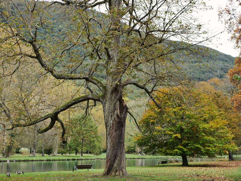 2023.11.06 Rendez-vous avec l'automne ! 1