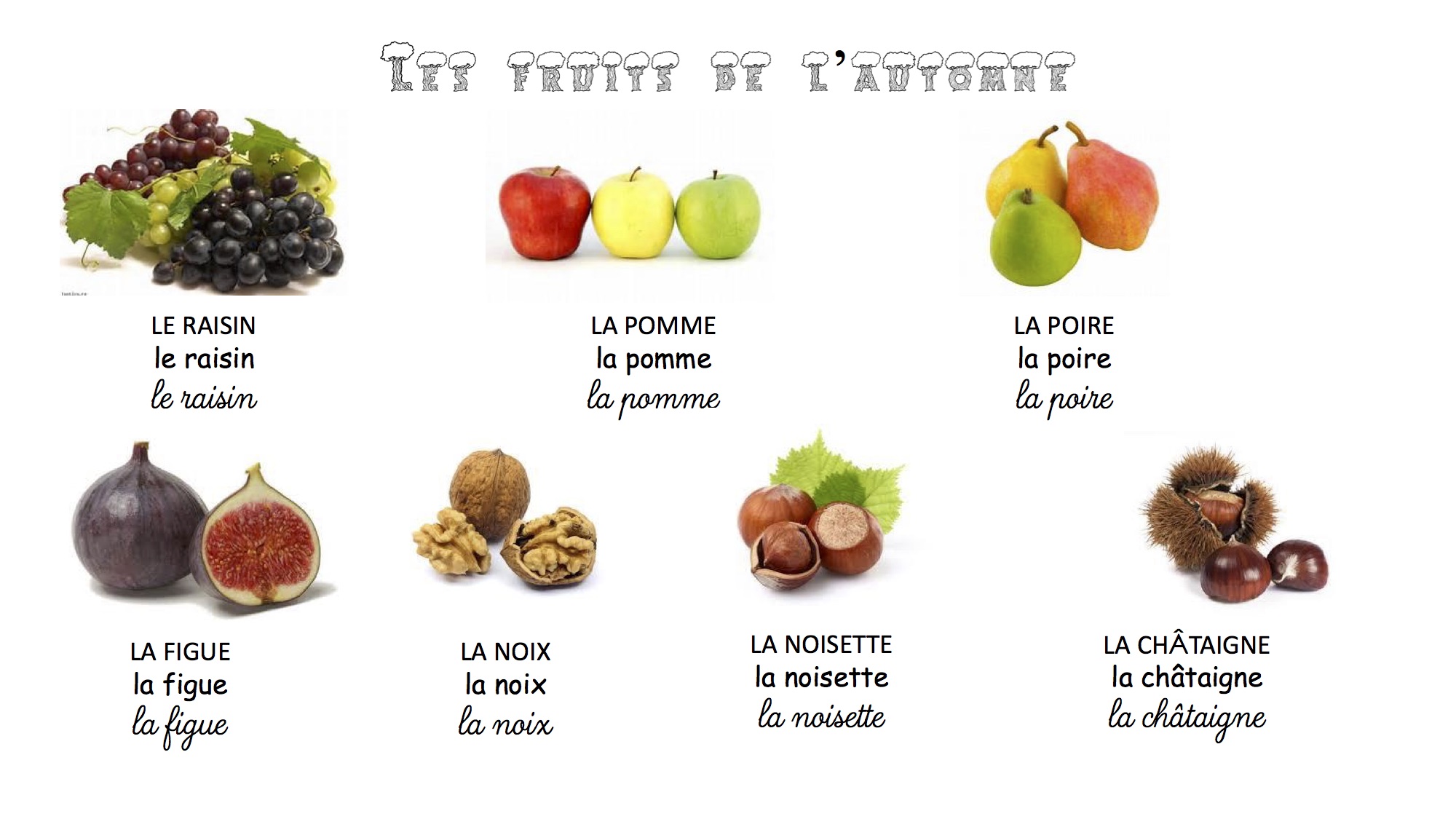 clipart fruits et légumes d'automne - photo #11