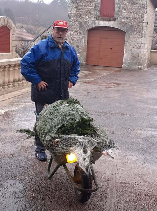 Arrivage des sapins de Noël