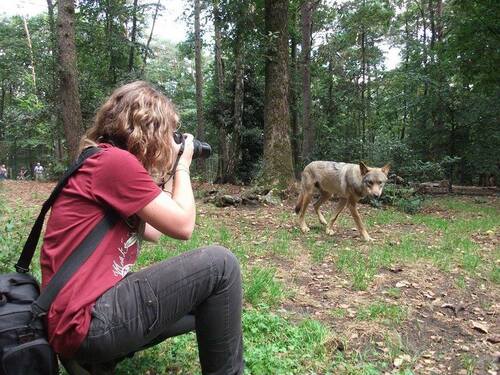 (c) Emeline, Parc Argonne Découverte.