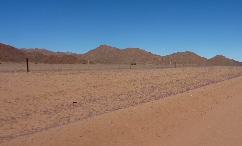 Paysages Namibien 3ére partie, "De Sossusvlei à Fish Canion"