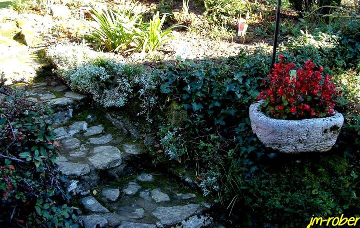 Jardin:Choisir et planter les fidéles vivaces qui conviennent au rendez-vous de la floraison 