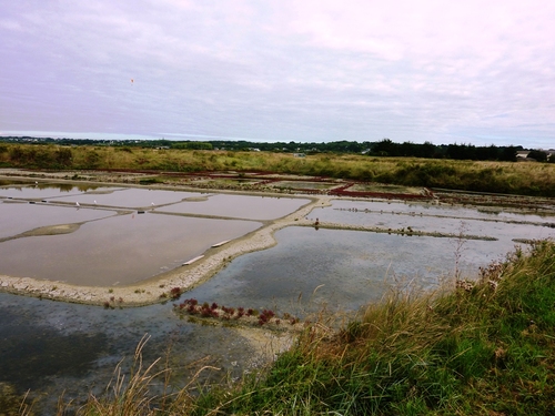 Bretagne Loire Atlantique