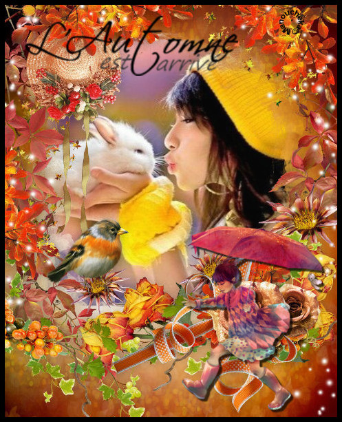 L'automne arrive