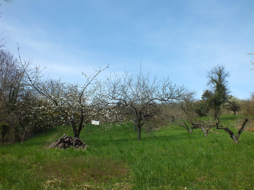 La Quentinoise (12 Avril 2015)