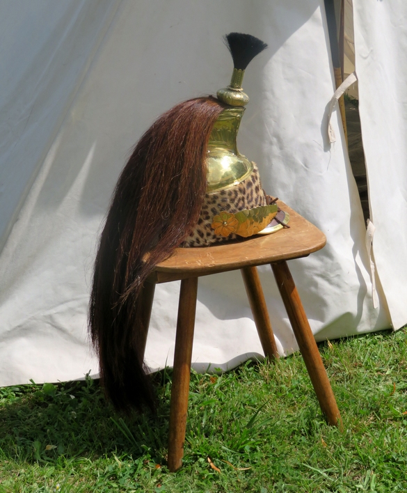 Un beau bivouac a été installé sur la pelouse du château Marmont pour la fête Impériale...