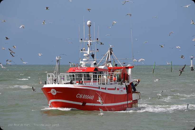 Trouville : Le marché aux poissons