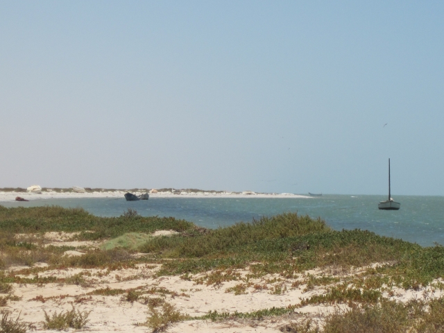 Mauritanie Banc d'Arguin
