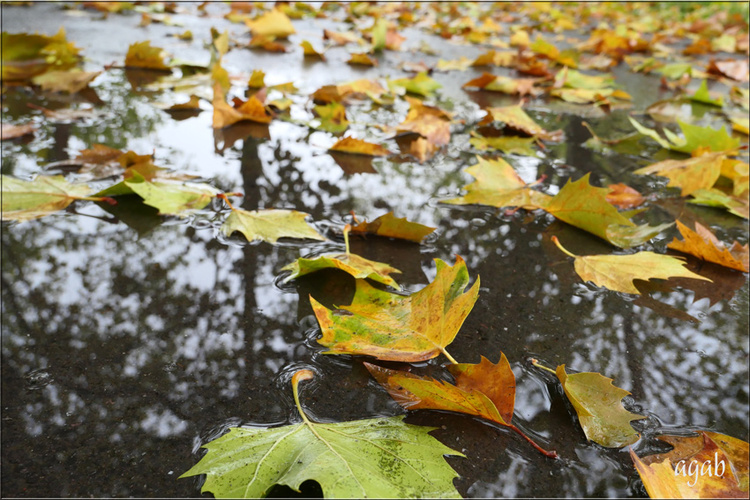 promenade photographique octobre 2022