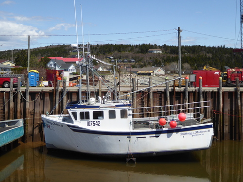 - Baie de Fundy