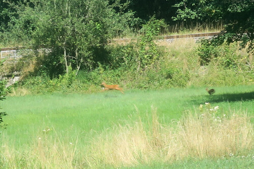 Rencontre furtive 