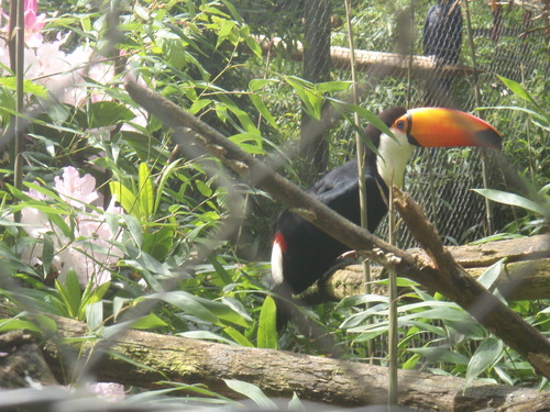 ZOO DE LA BOURBANSAIS