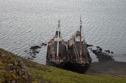 De Tangahús (Bordeyri) à Baldursbrá (Reykjavík)