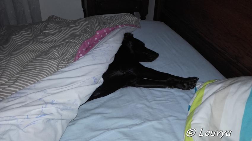 lady se colle à moi toute la nuit