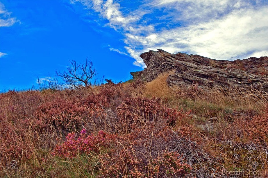 Monts de Lozère, roches et bruyère