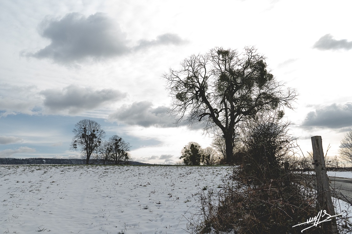 La neige est servie sur le premier plateau.