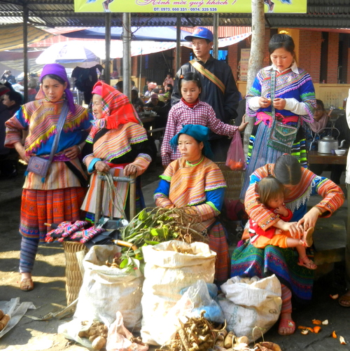 Bac Ha