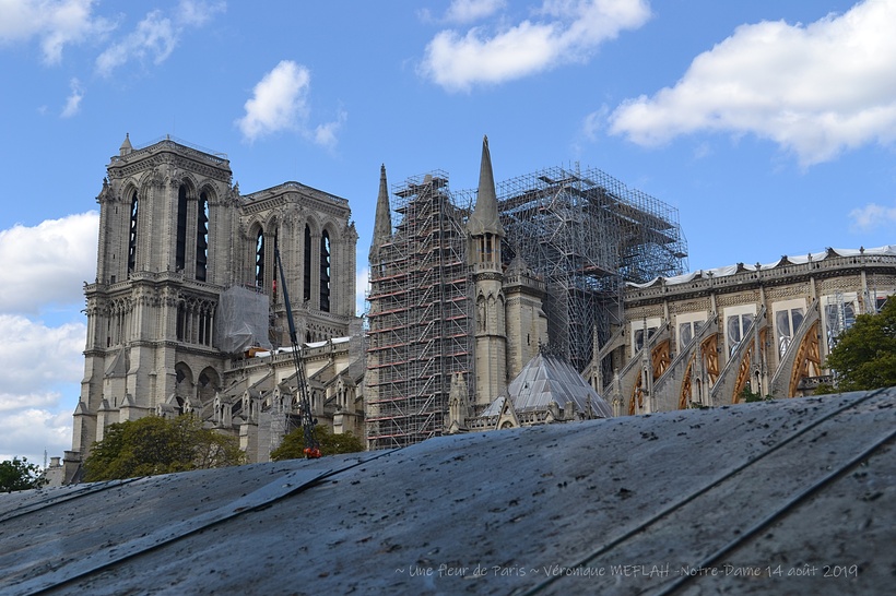 Notre-Dame de Paris : Dernières nouvelles ... 