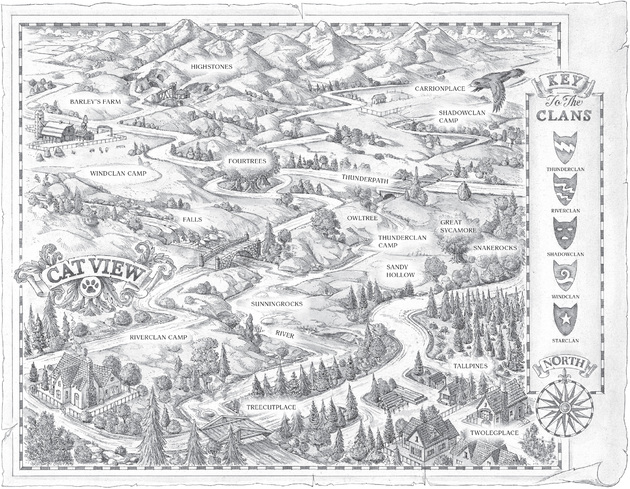 Les territoires de la forêt