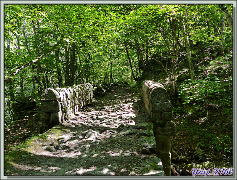 Randonnée dans les Gorges de la Carança : le petit pont de pierre - Thuès-Entre-Valls - 66