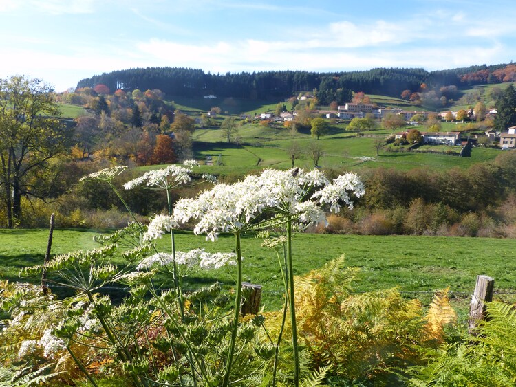 St Bonnet Le Troncy