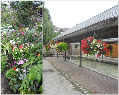 Vacances normandes : sur la route d'Honfleur...