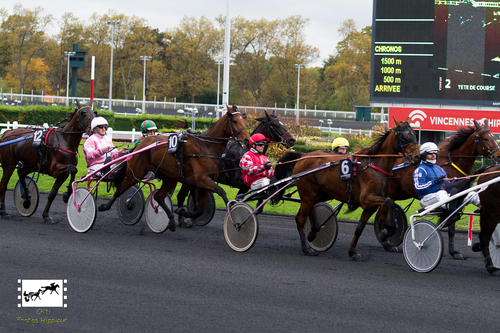 Prix de Cognac