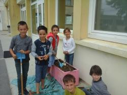 Projet plantations