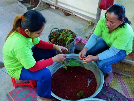 préparation des colorants naturels pour la soie