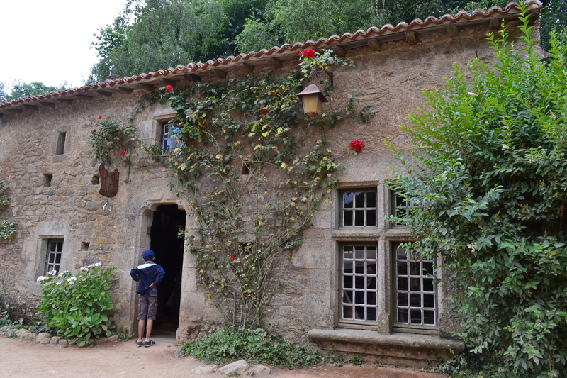 QUELQUES PHOTOS SUR LE PUY DU FOU DES SPECTACLES VUS