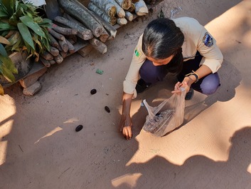 Parc National Phnom Kulen / Groupe Roluos - lundi 25 novembre 2019 