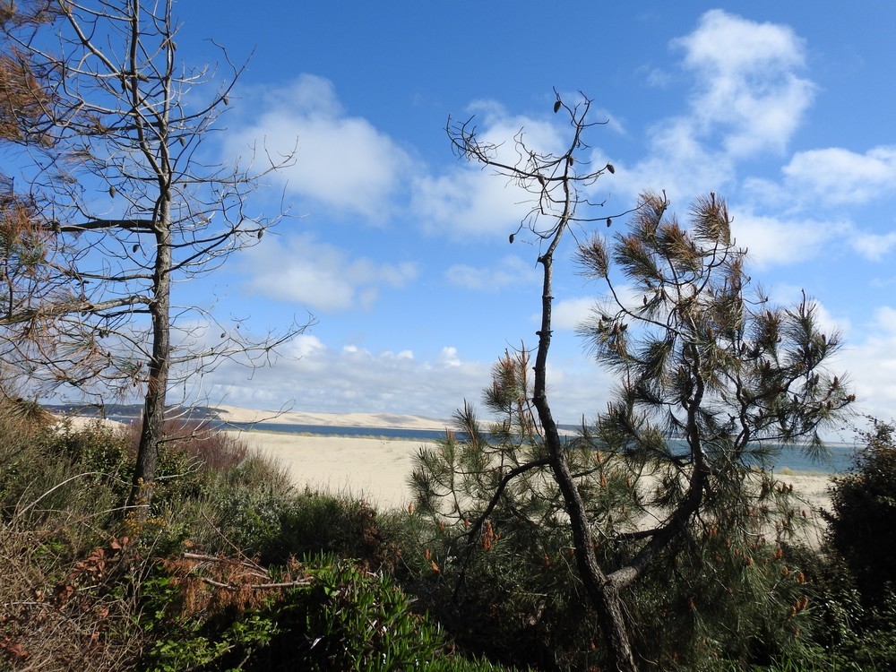 Balade à la Pointe du Cap-Ferret en avril 2018...