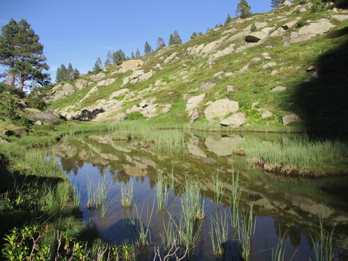 Bivouac (3 nuits) : des étangs et des fleurs depuis le vallon du Mourguillou (Merens) - 09